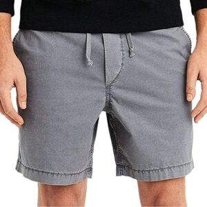 American Eagle Gray Flat Front Shorts with Relaxed Fit